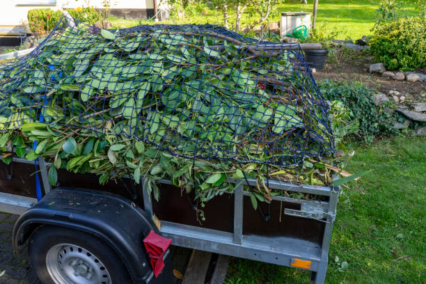 Best Dumpster Rental Services  in Jersey Village, TX